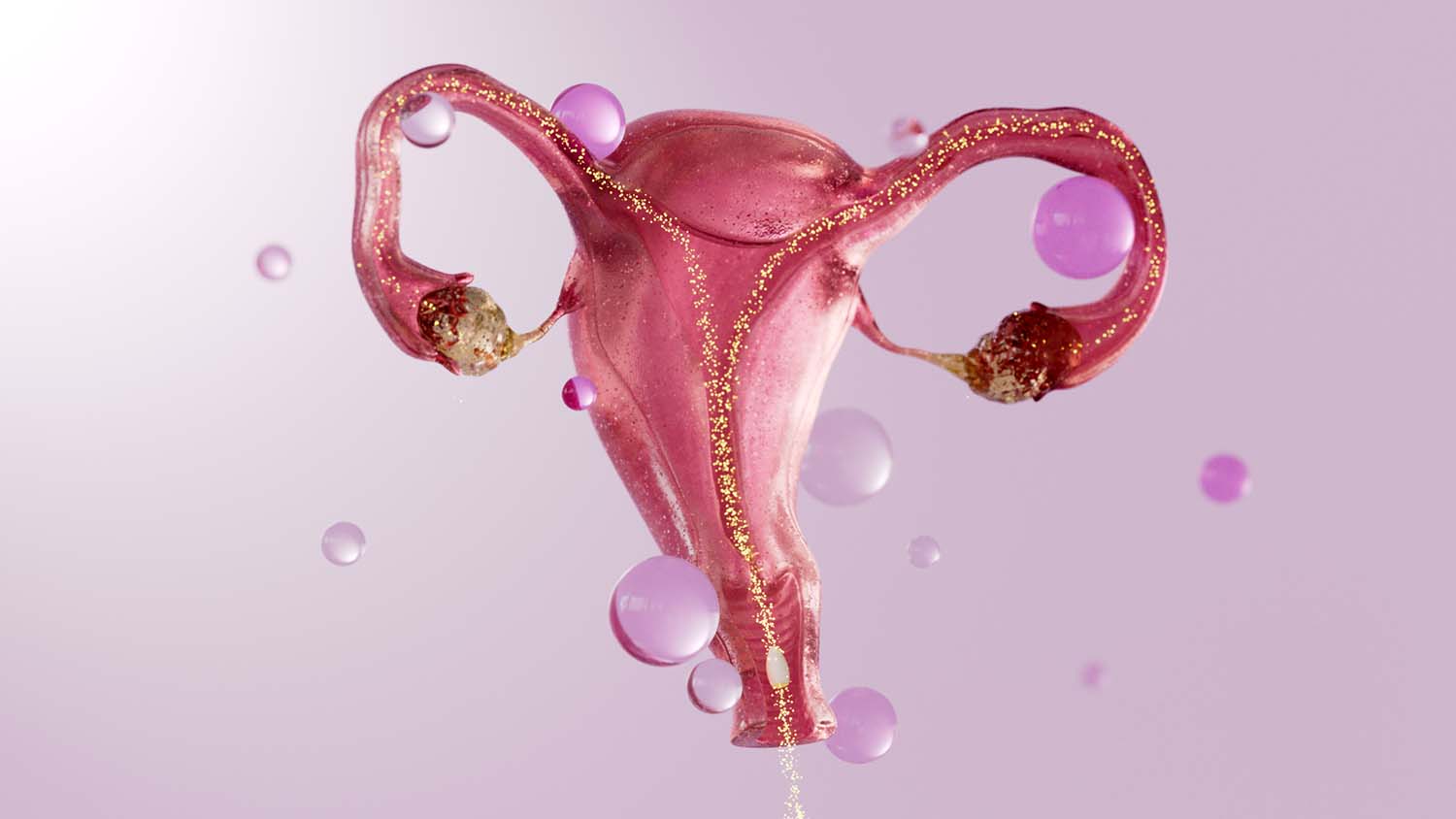 Bonafide project still 1