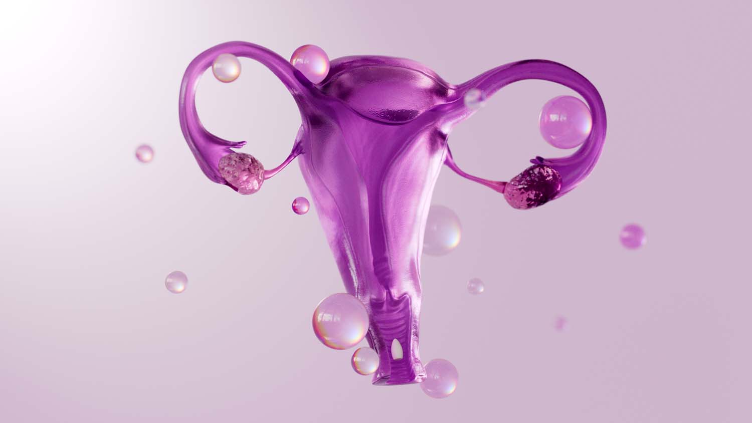 Bonafide project still 2