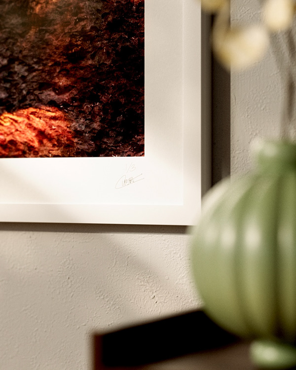 Monalisa installation scene