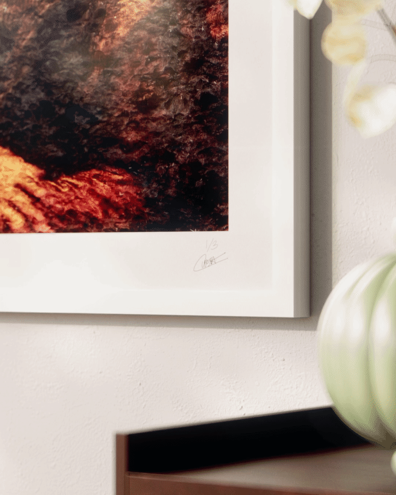 Monalisa motion study 1