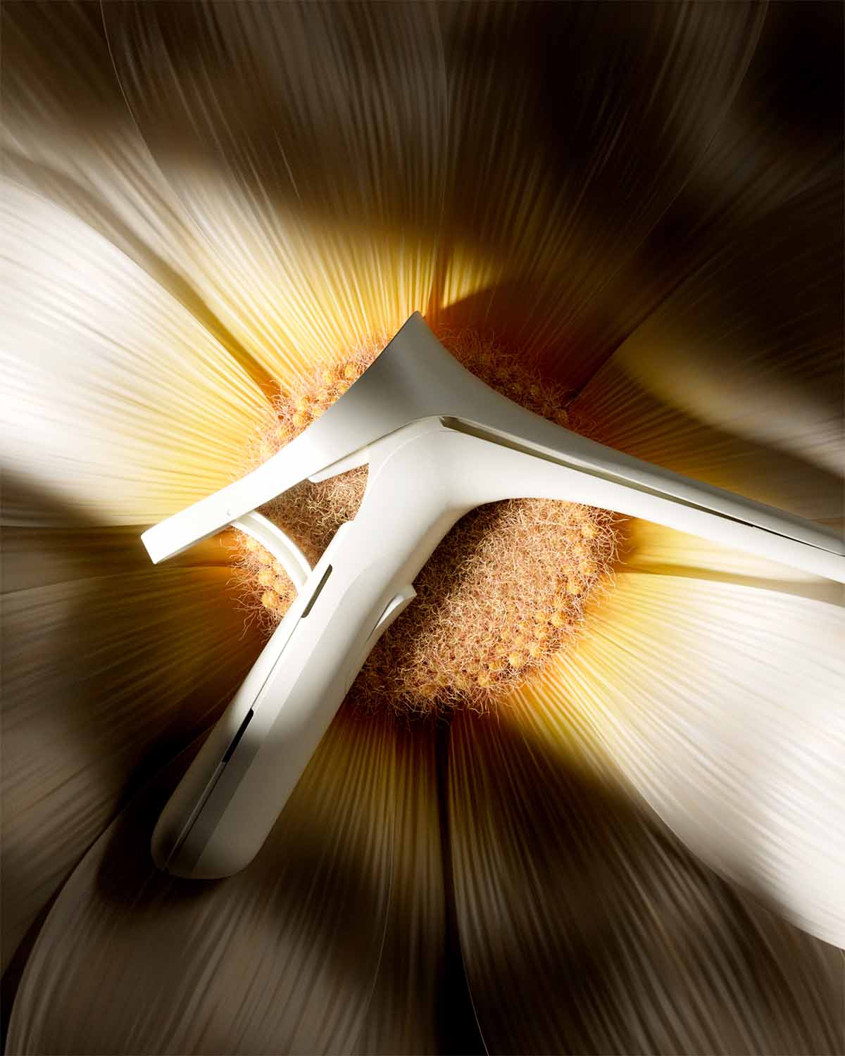 Nella project close-up