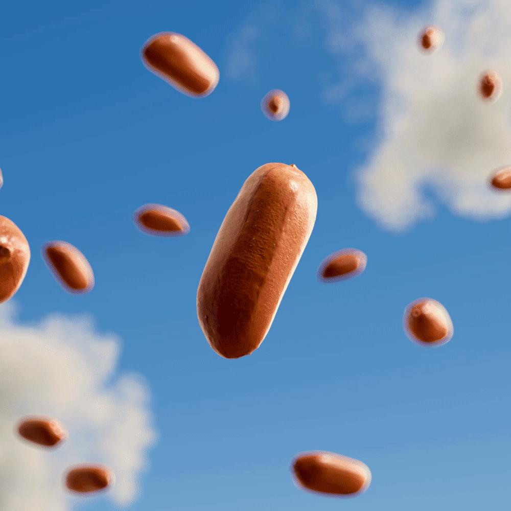 Skippy project motion 2